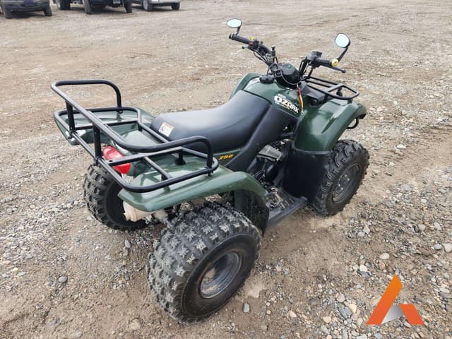 Image of Suzuki Quad Runner 250 equipment image 4