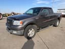 2004 Ford F-150 Image