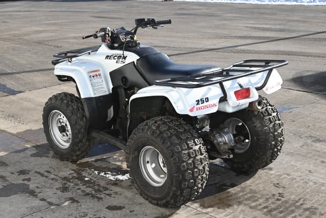 Image of Honda Recon TRX250TE equipment image 4