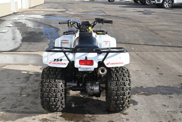 Image of Honda Recon TRX250TE equipment image 3