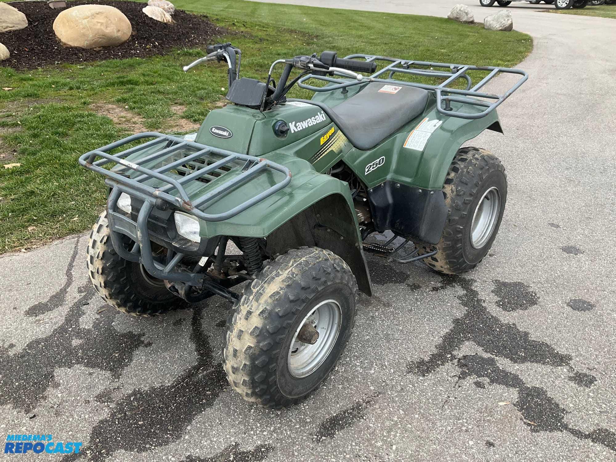 Main image Kawasaki Bayou 250