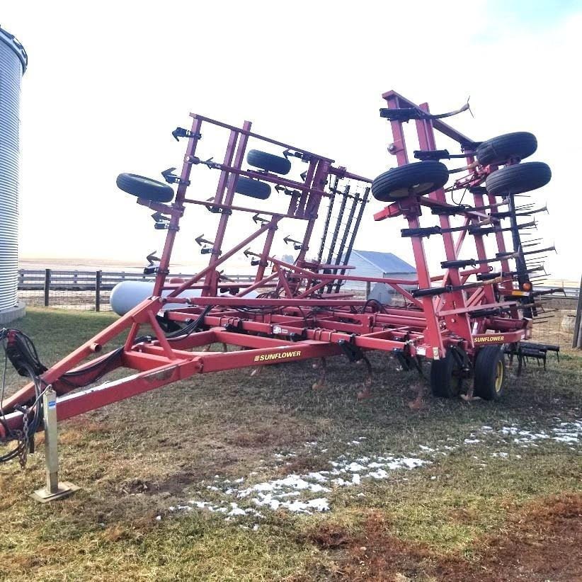 Main image Sunflower 5035