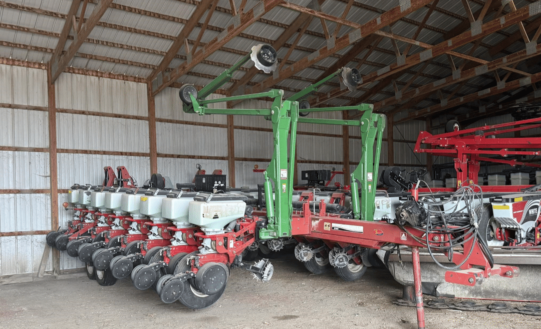 Image of White 8186 Primary image