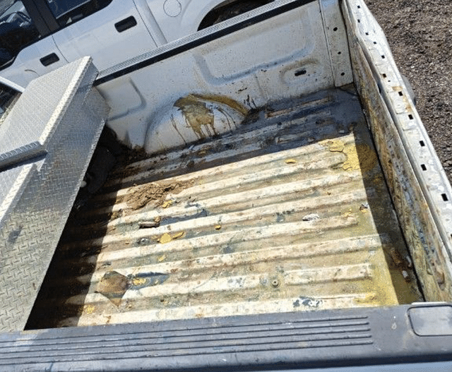 Image of Ford F-150 equipment image 2