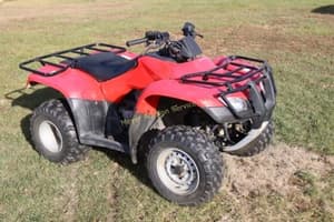 2005 Honda TRX250TE Image