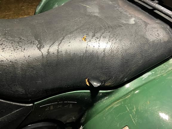 Image of Yamaha Grizzly 660 equipment image 2
