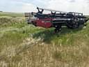 2006 Case IH 2042 Image