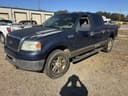 2006 Ford F-150 Image