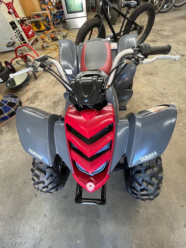 Image of Yamaha Raptor 80 equipment image 2