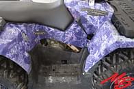 Thumbnail image Polaris Sportsman 500 20