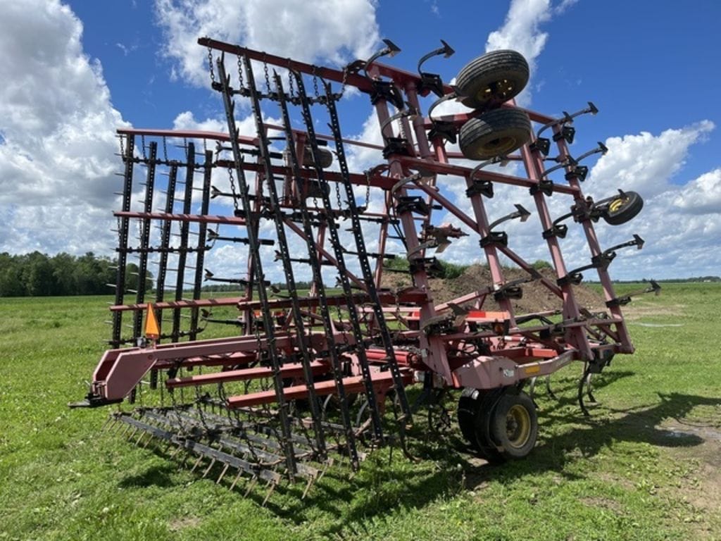 Main image Sunflower 5035