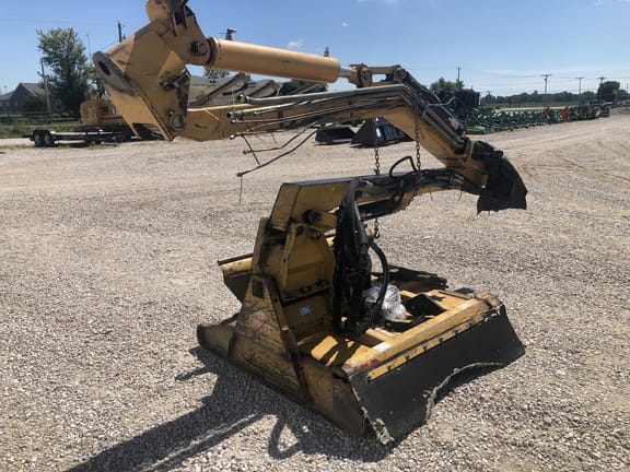 Main image Tiger Saber Tooth