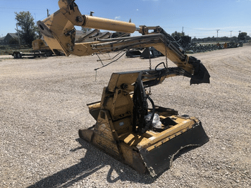 Main image Tiger Saber Tooth