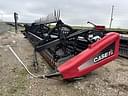 2008 Case IH 2162 Image