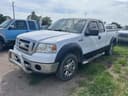 2008 Ford F-150 Image