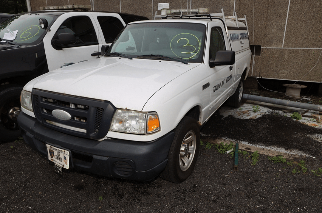 Image of Ford Ranger Primary image