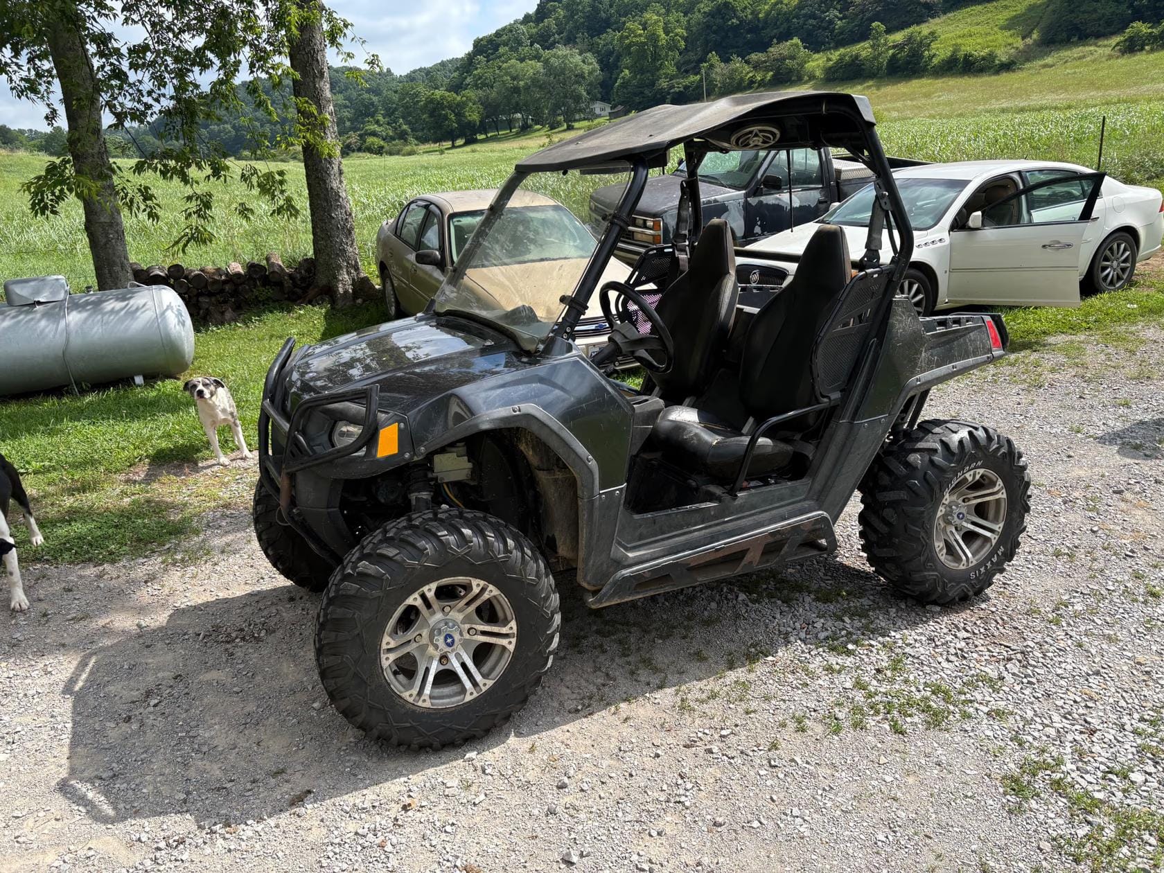 2008 Polaris RZR Equipment Image0