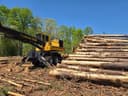 2008 Tigercat 250B Image