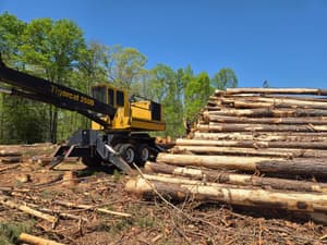 2008 Tigercat 250B Image