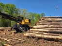 2008 Tigercat 250B Image