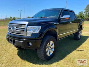 2009 Ford F-150 Image