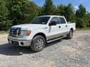 2009 Ford F-150 Image