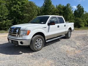 2009 Ford F-150 Image