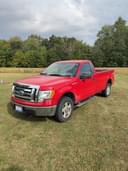 2009 Ford F-150 Image