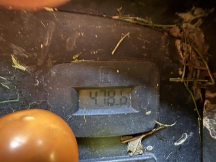 Image of John Deere Z445 Image 1