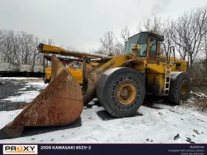 2009 Kawasaki 95ZV Image