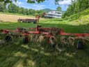 2009 Kuhn GF5202THA Image