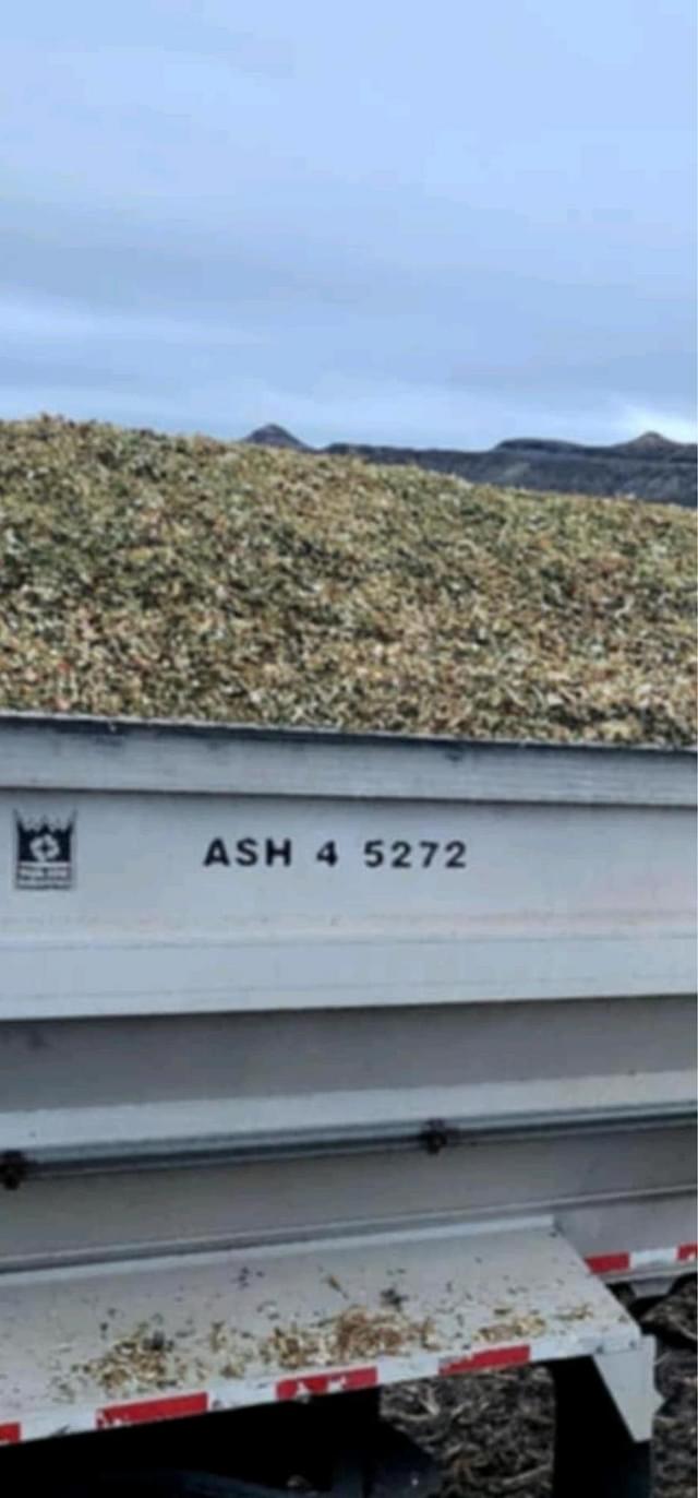 Image of Trail King ASHS4-5272-48 equipment image 2