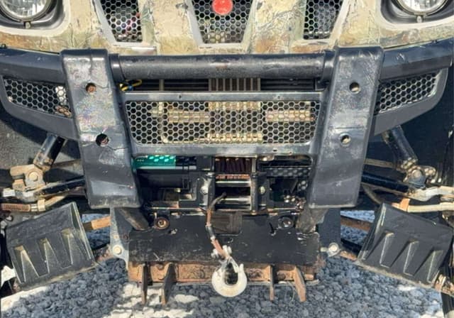 Image of Yamaha Rhino 450 equipment image 4