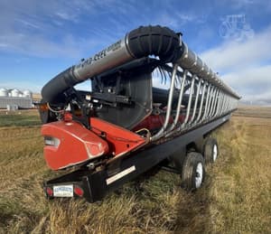 2010 Case IH 2020 Image