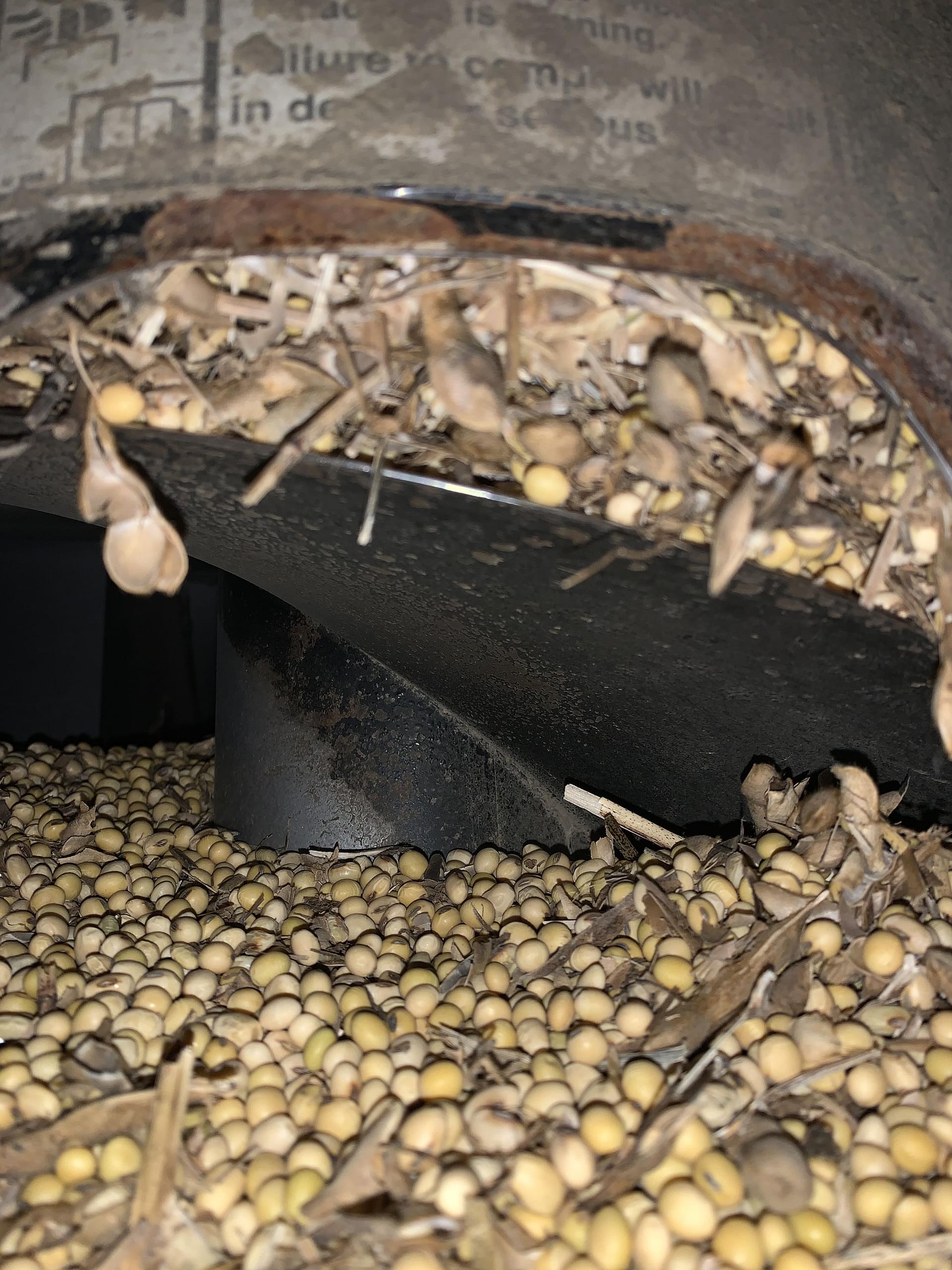 Main image Case IH 5088 3