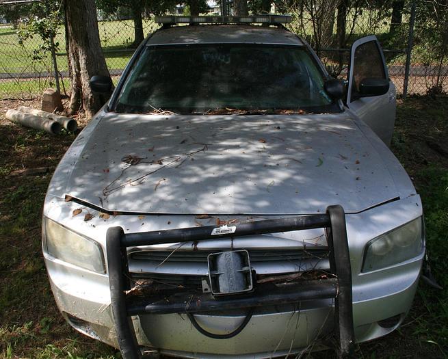 Image of Dodge Charger Image 0