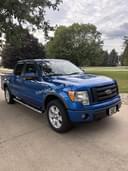2010 Ford F-150 Image