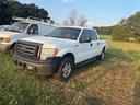2010 Ford F-150 Image