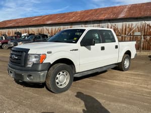 2010 Ford F-150 Image