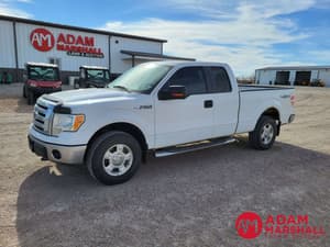 2010 Ford F-150 Image