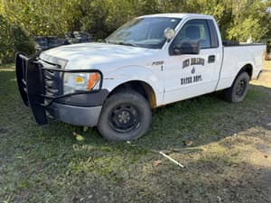 2010 Ford F-150 Image