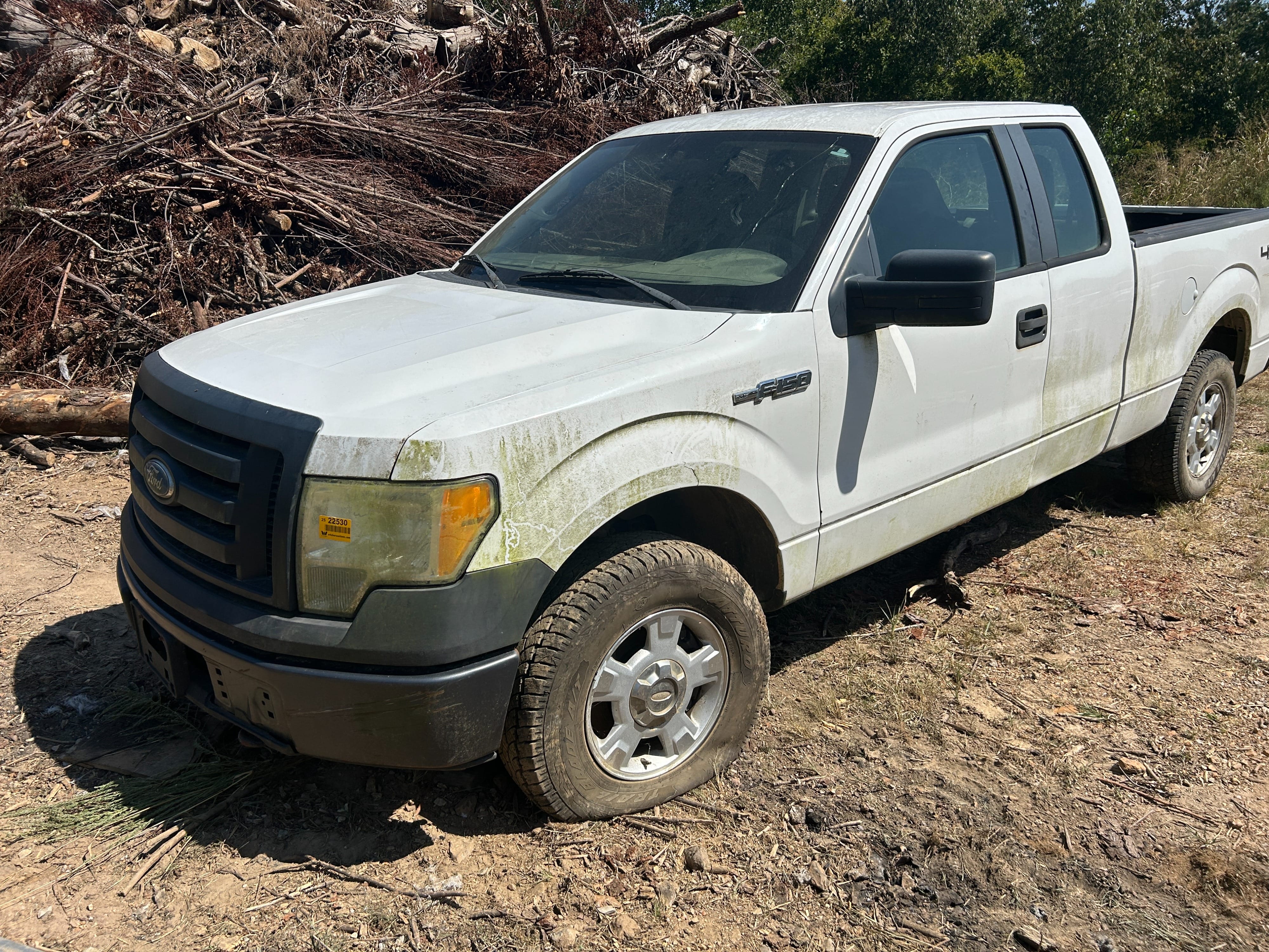 2010 Ford F-150 Equipment Image0