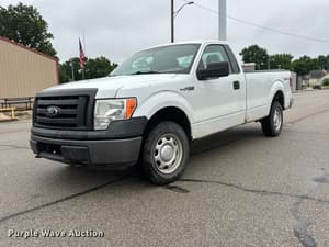 2010 Ford F-150 Image