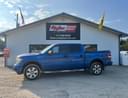 2010 Ford F-150 Image