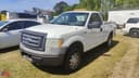 2010 Ford F-150 Image