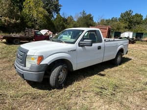 2010 Ford F-150 Image