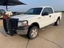 2010 Ford F-150 Image