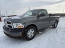 2010 Dodge Ram 1500 Image