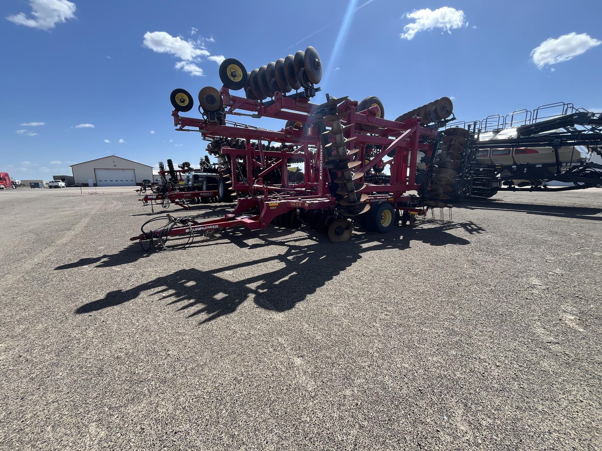 Main image Sunflower 1435