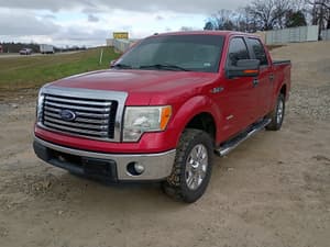 2011 Ford F-150 Image